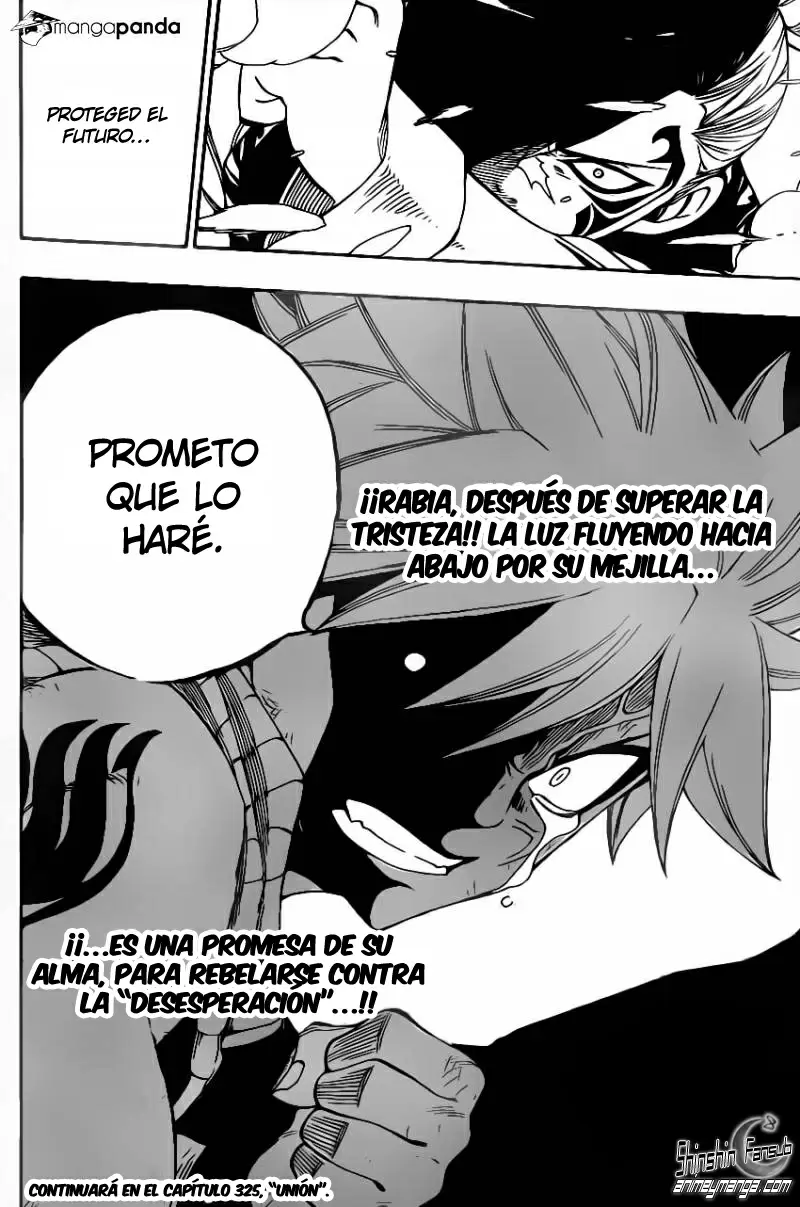 Fairy Tail - Capítulo 324 - Página 19 - LectorTMOo