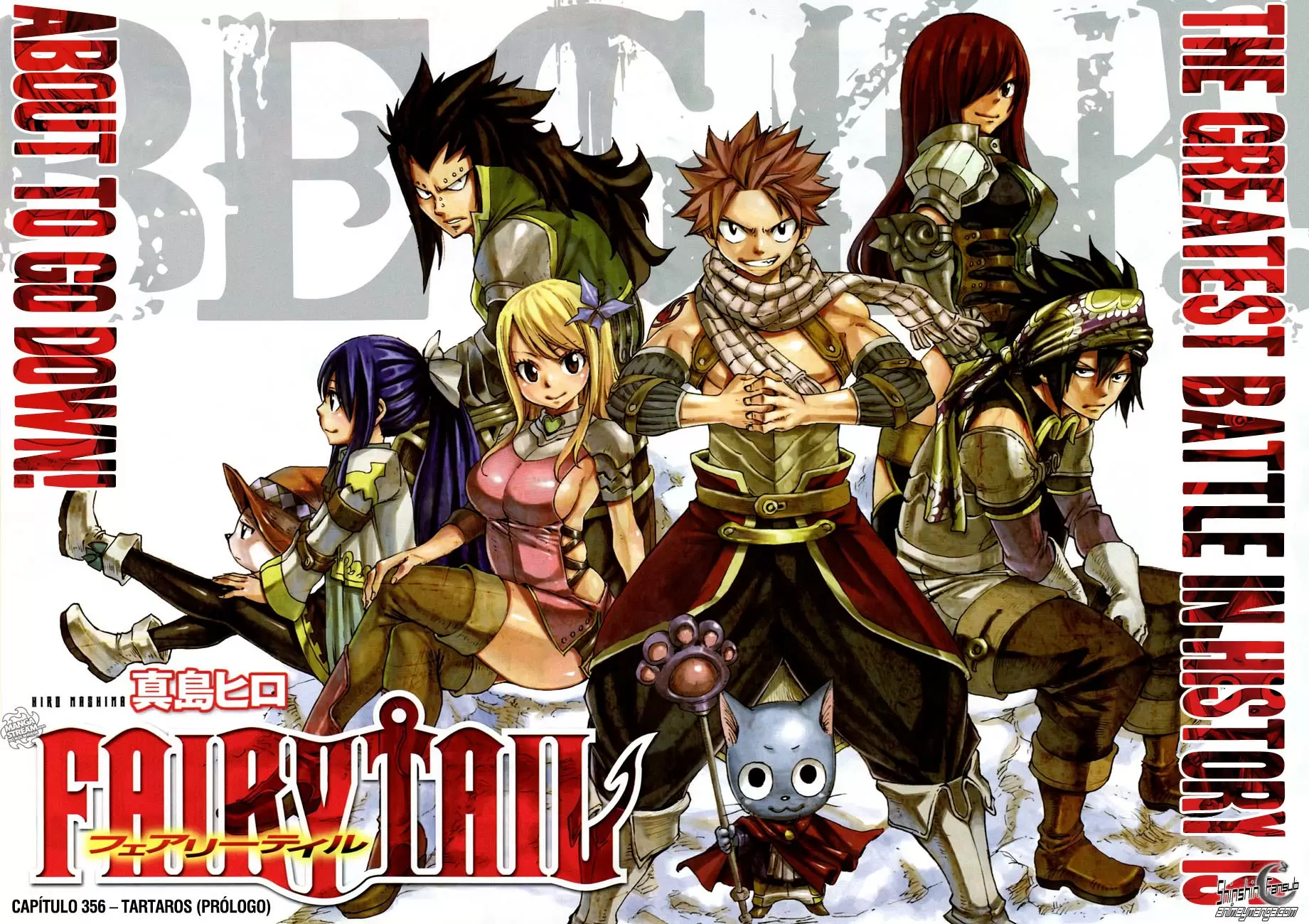 Fairy Tail - Capítulo 356 - Página 3 - LectorTMOo