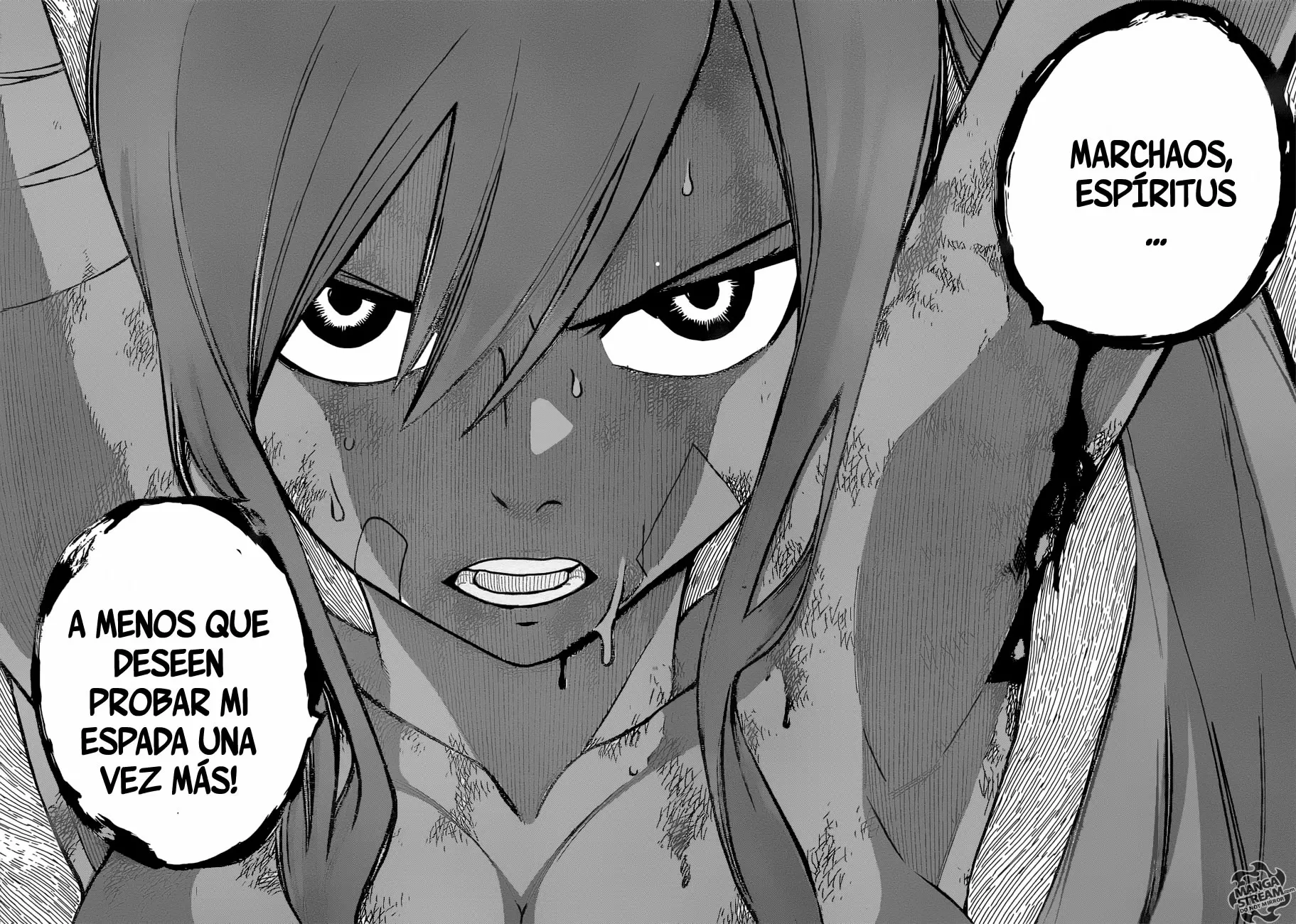 Fairy Tail - Capítulo 482 - Página 17 - LectorTMOo