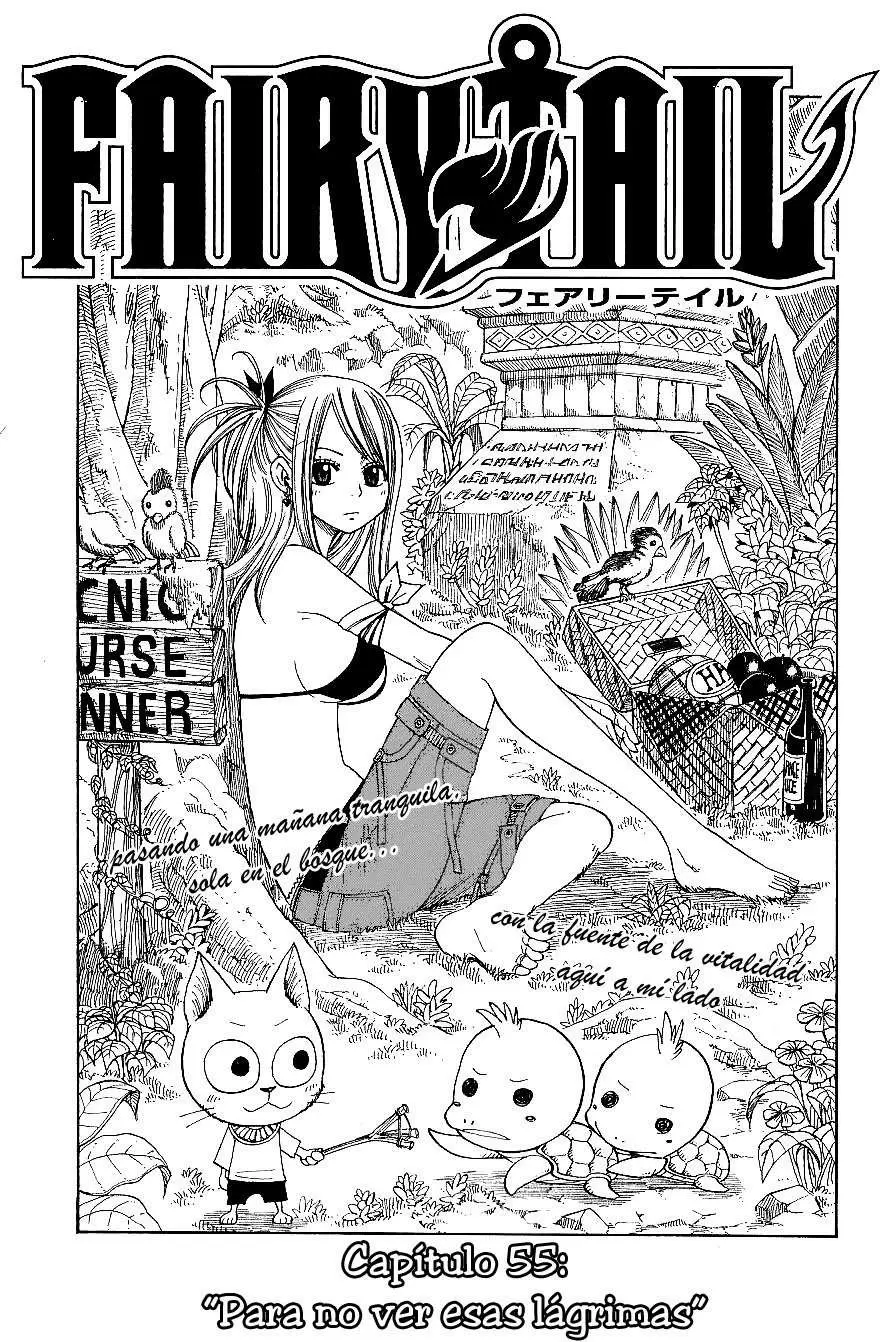 Fairy Tail - Capítulo 55 - Página 1 - LectorTMOo