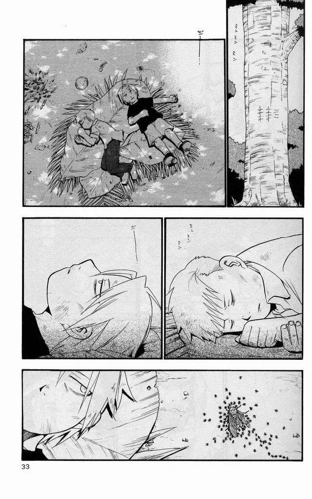 Full Metal Alchemist - Capítulo 22 - Página 35 - LectorTMOo