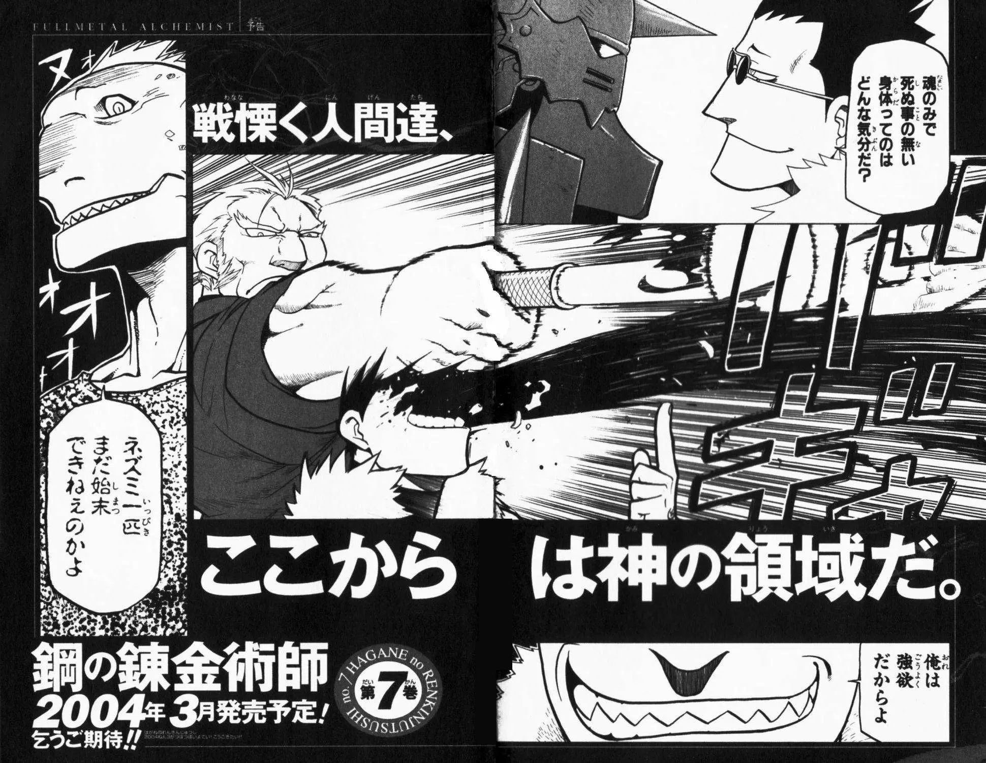 Full Metal Alchemist - Capítulo 25 - Página 46 - LectorTMOo