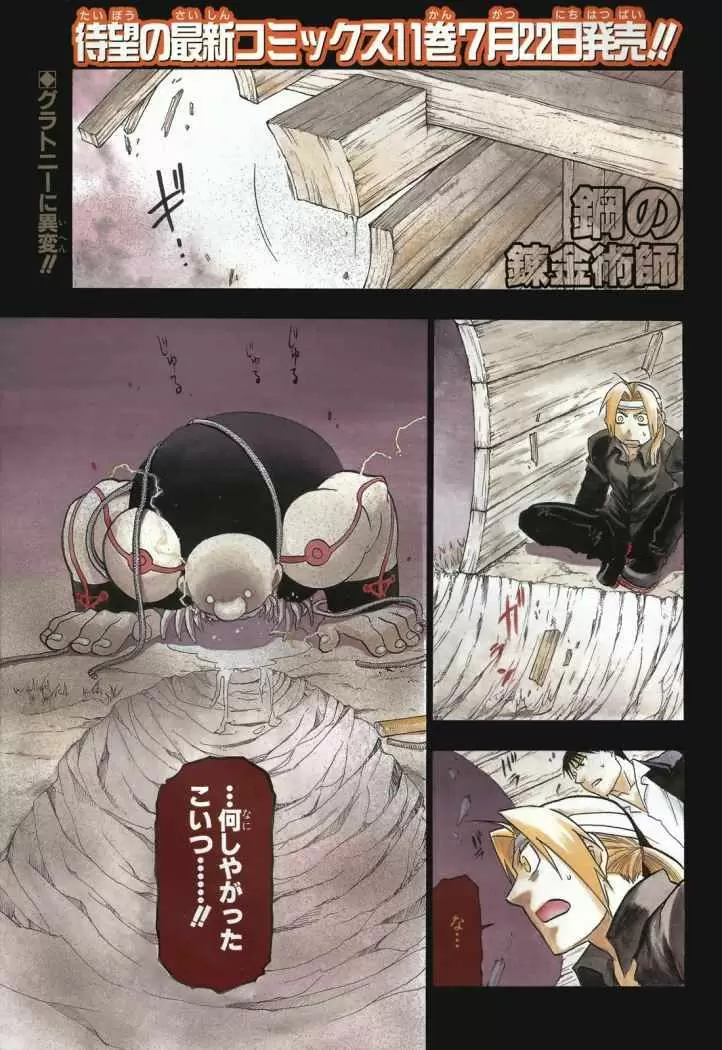 Full Metal Alchemist - Capítulo 49 - Página 45 - LectorTMOo