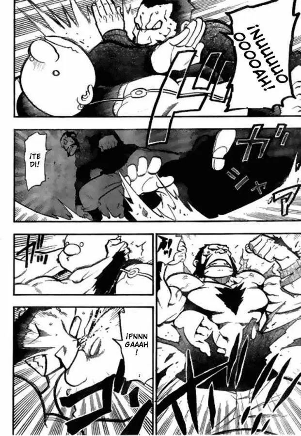 Full Metal Alchemist - Capítulo 86 - Página 30 - LectorTMOo