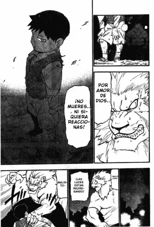 Full Metal Alchemist - Capítulo 87 - Página 25 - LectorTMOo