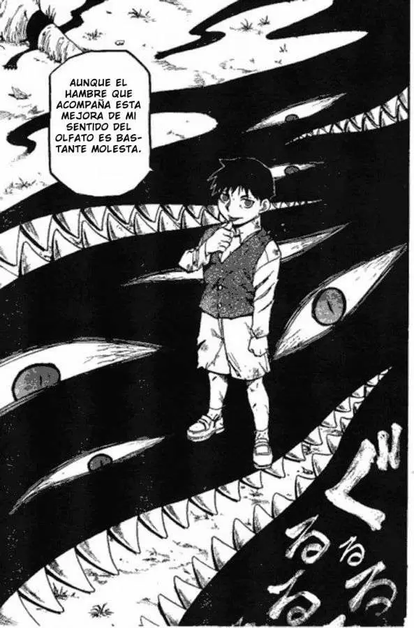 Full Metal Alchemist - Capítulo 87 - Página 43 - LectorTMOo