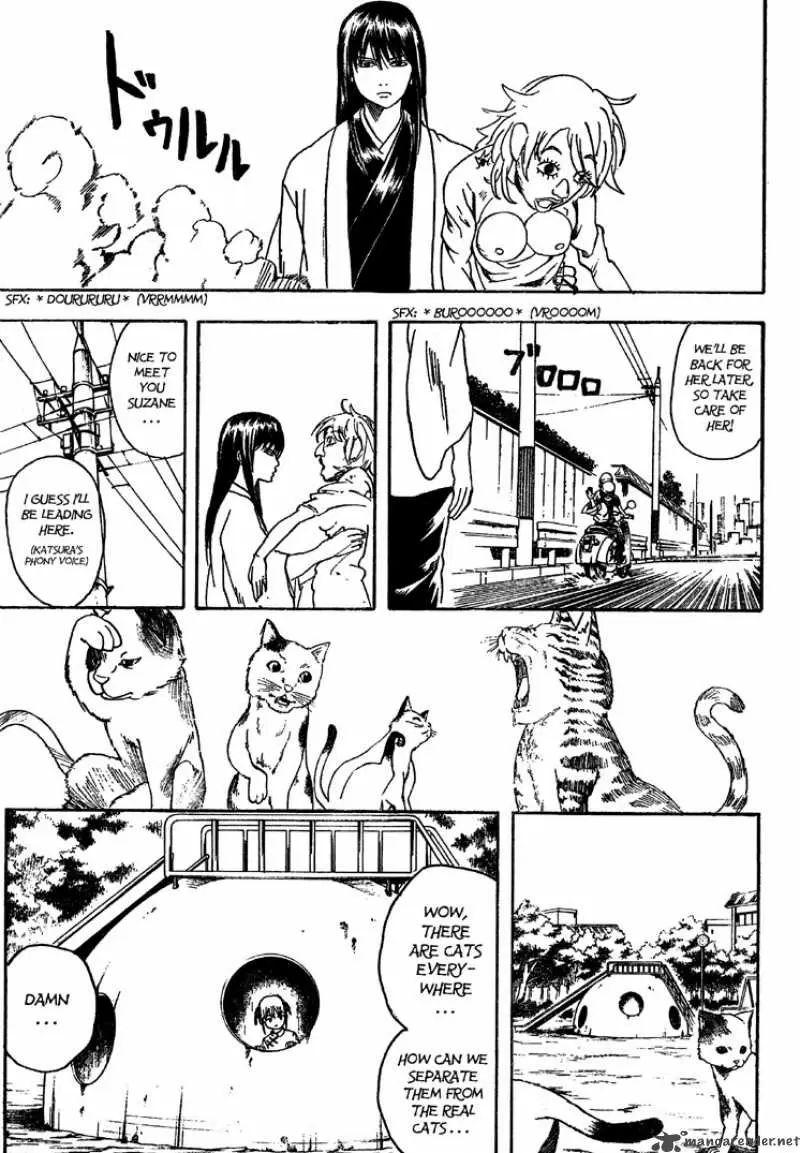 Gintama - Capítulo 208 - Página 11 - LectorTMOo