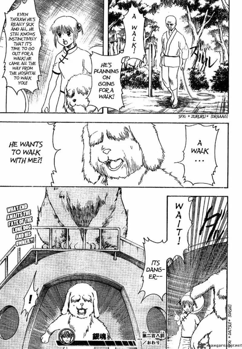 Gintama - Capítulo 208 - Página 19 - LectorTMOo