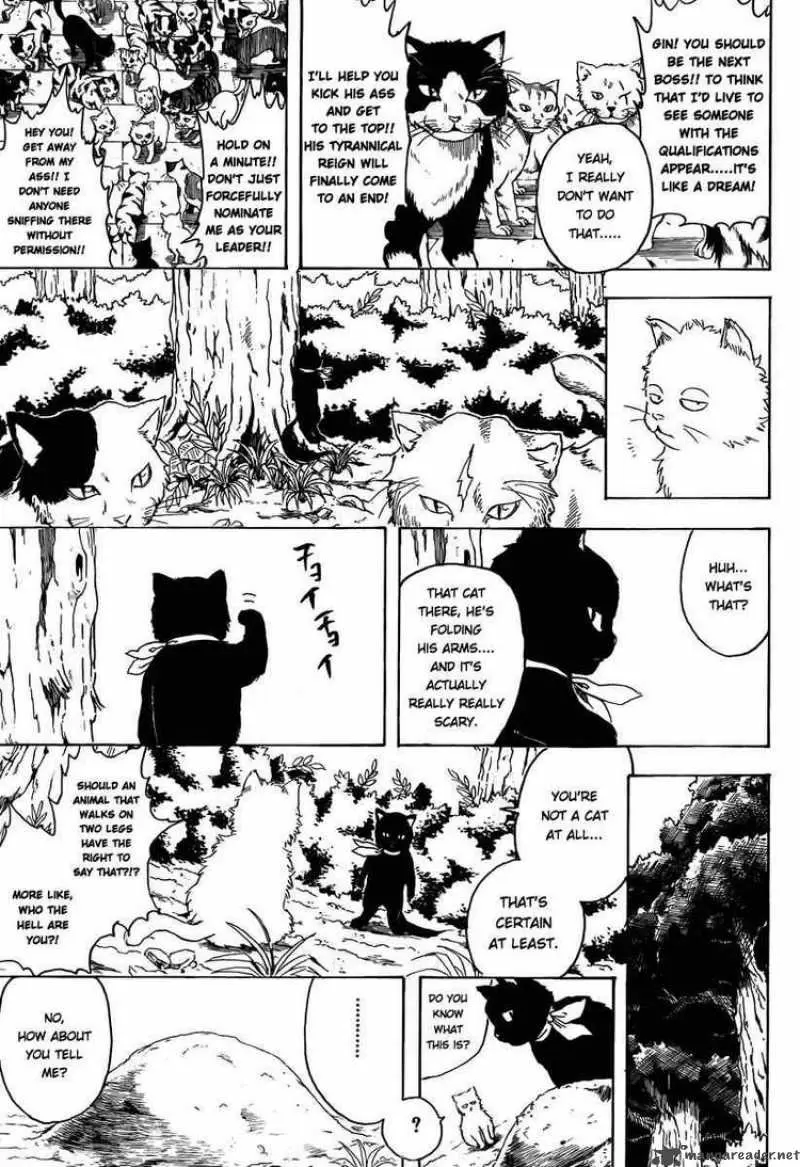 Gintama capítulo 275 página 15