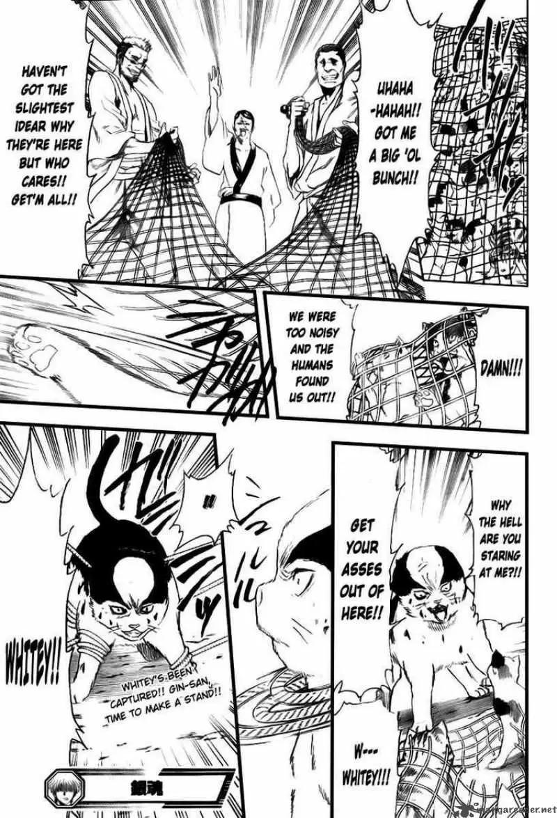 Gintama - Capítulo 277 - Página 19 - LectorTMOo