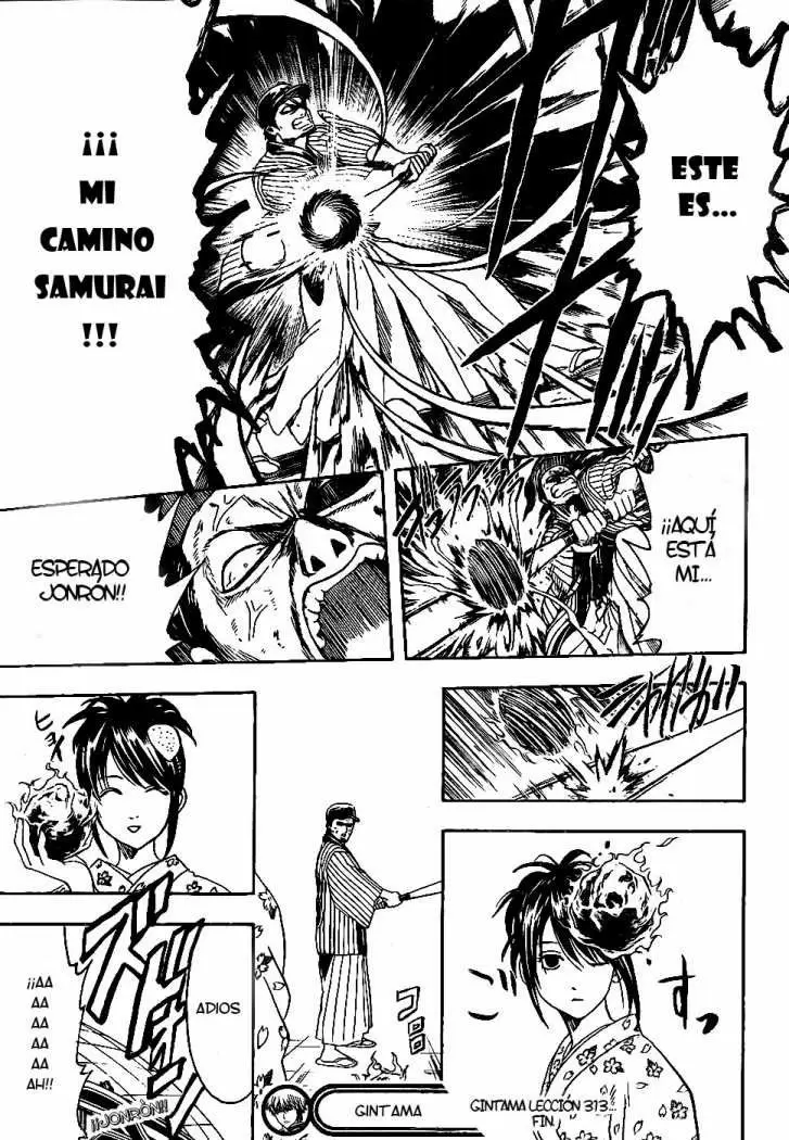 Gintama - Capítulo 313 - Página 22 - LectorTMOo