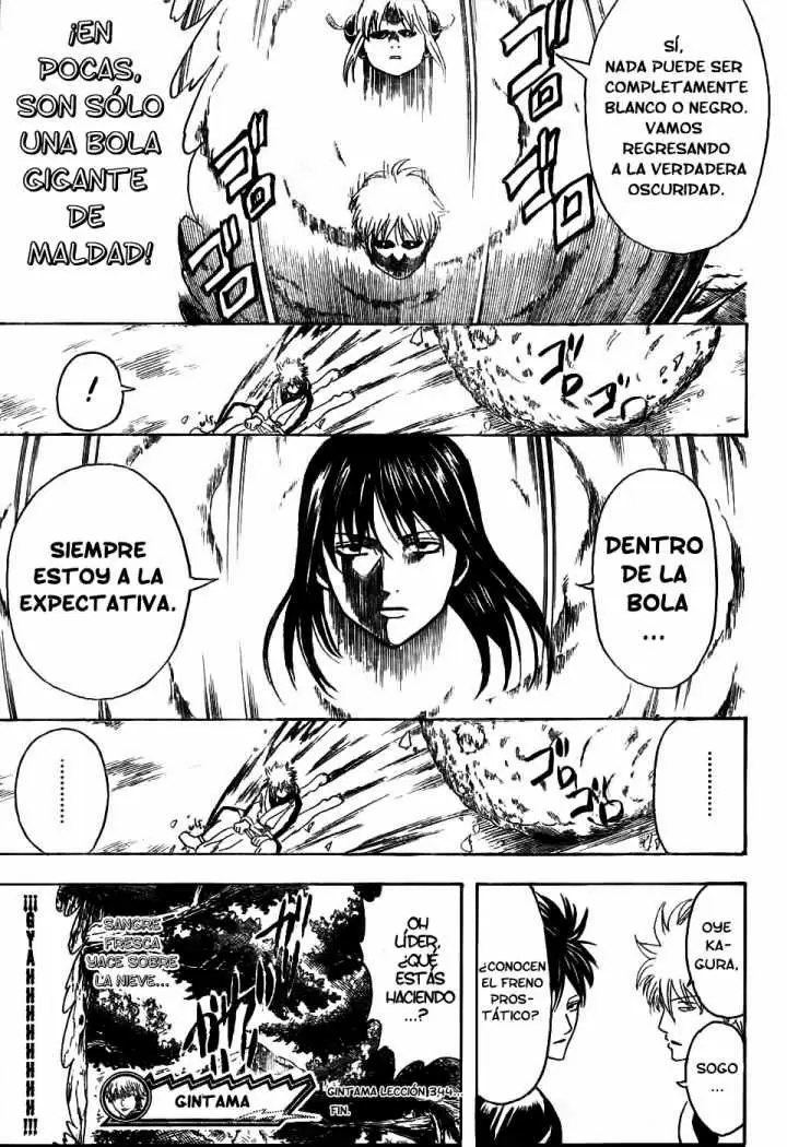 Gintama - Capítulo 344 - Página 19 - LectorTMOo