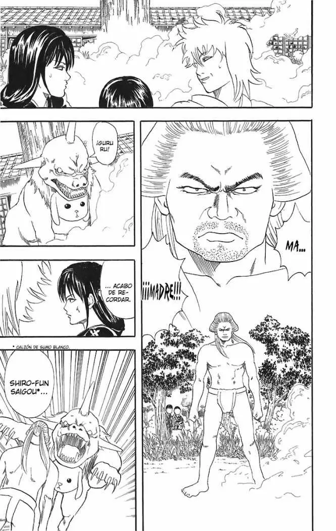 Gintama - Capítulo 39 - Página 17 - LectorTMOo
