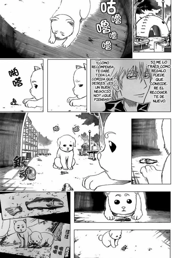 Gintama - Capítulo 402 - Página 8 - LectorTMOo