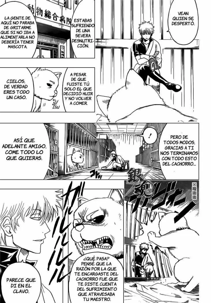 Gintama - Capítulo 402 - Página 16 - LectorTMOo