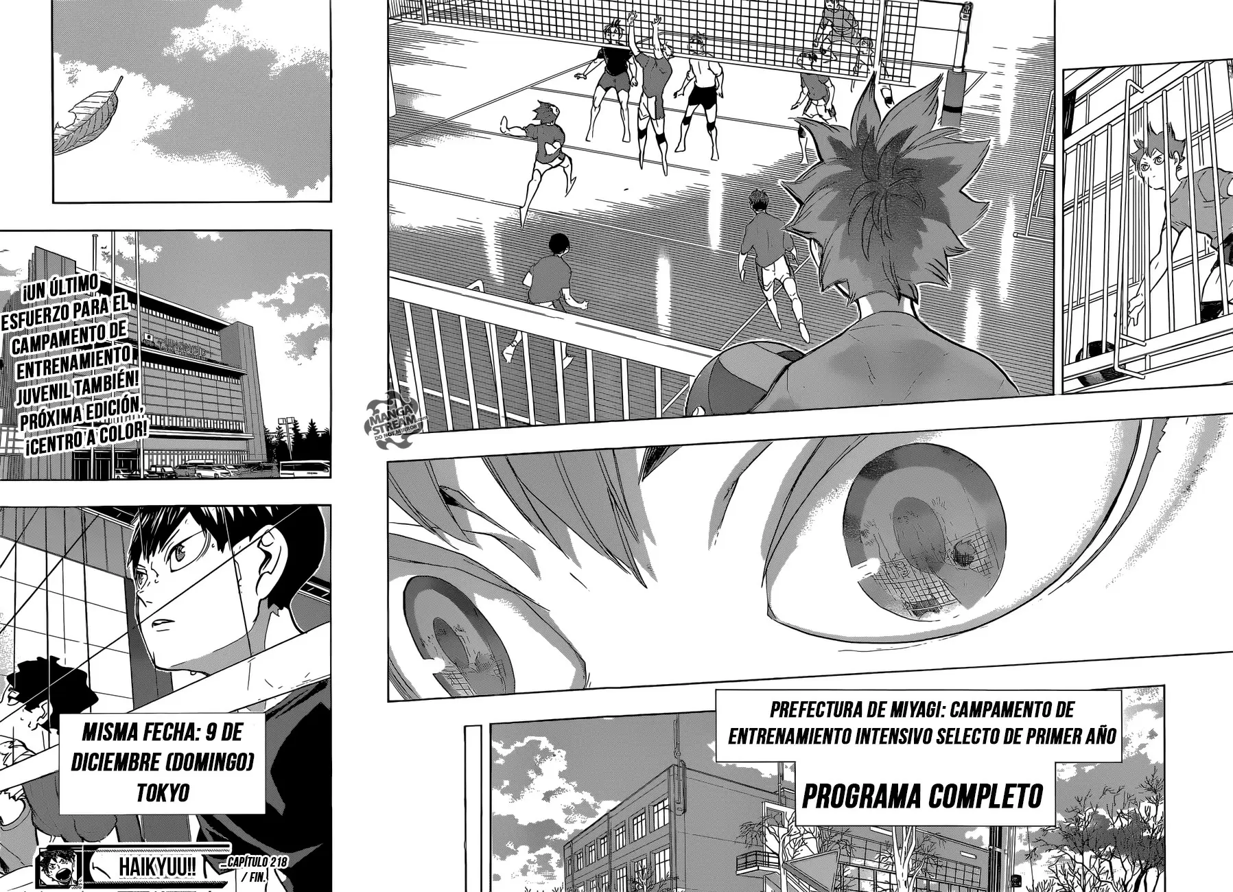 Haikyuu!! - Capítulo 218 - Página 19 - LectorTMOo