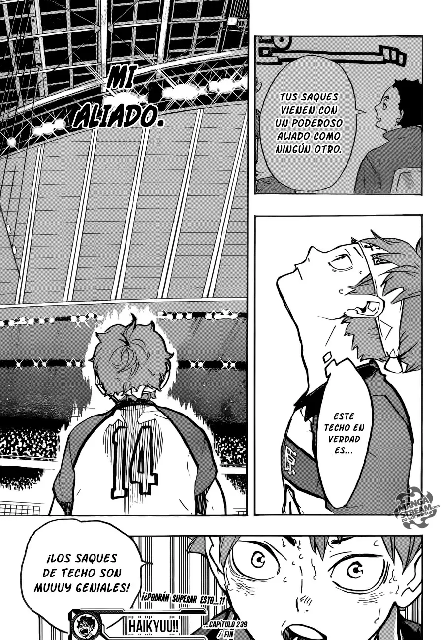 Haikyuu!! - Capítulo 239 - Página 19 - LectorTMOo