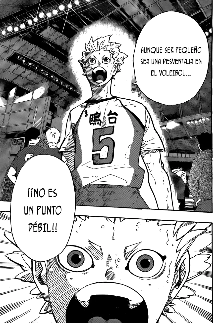 Haikyuu!! - Capítulo 245 - Página 15 - LectorTMOo