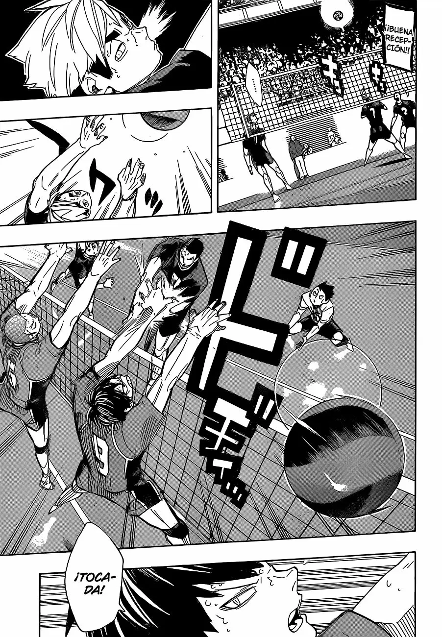 Haikyuu!! - Capítulo 258 - Página 8 - LectorTMOo