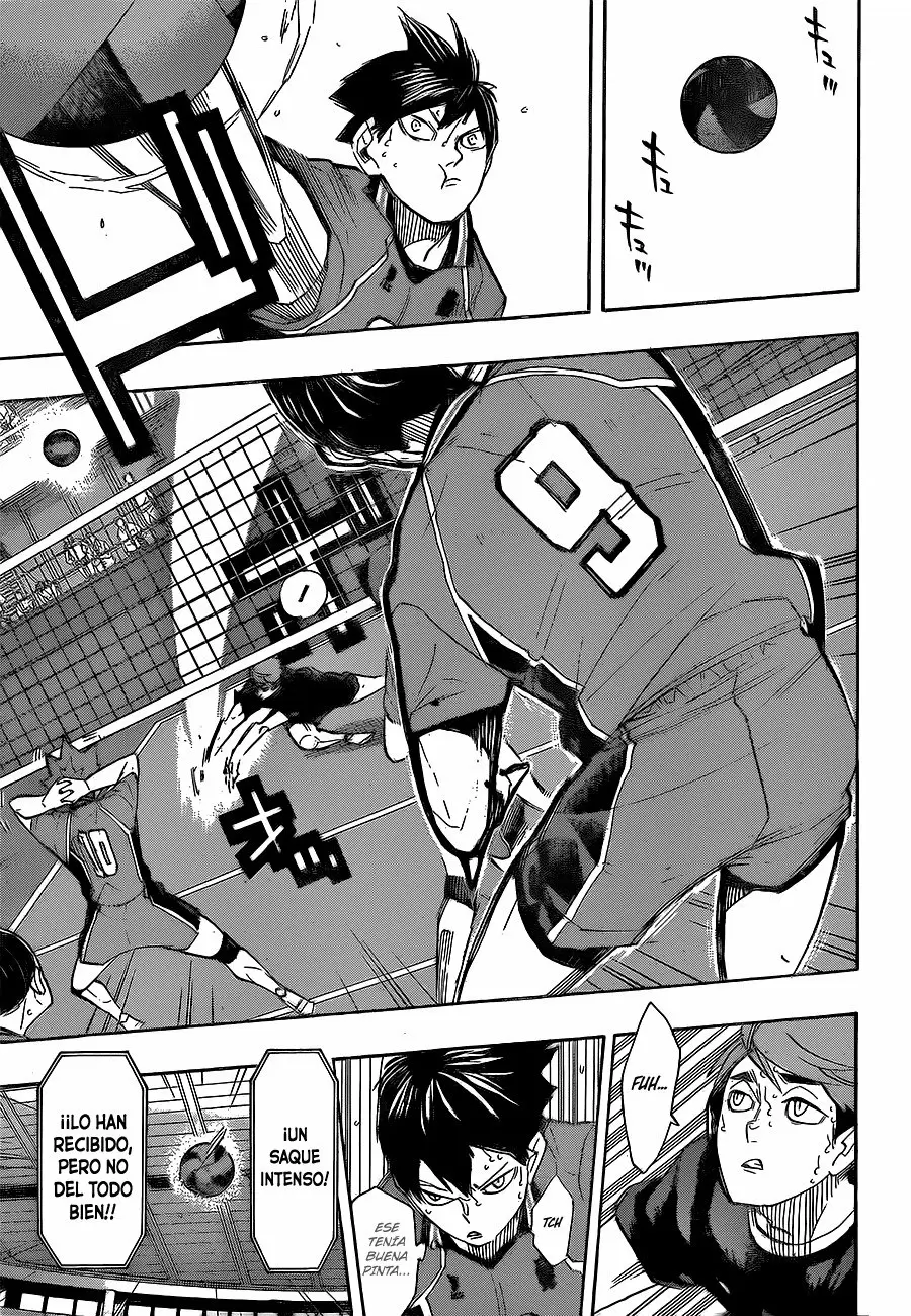 Haikyuu!! - Capítulo 259 - Página 6 - LectorTMOo