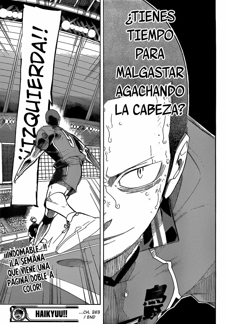 Haikyuu!! - Capítulo 263 - Página 20 - LectorTMOo