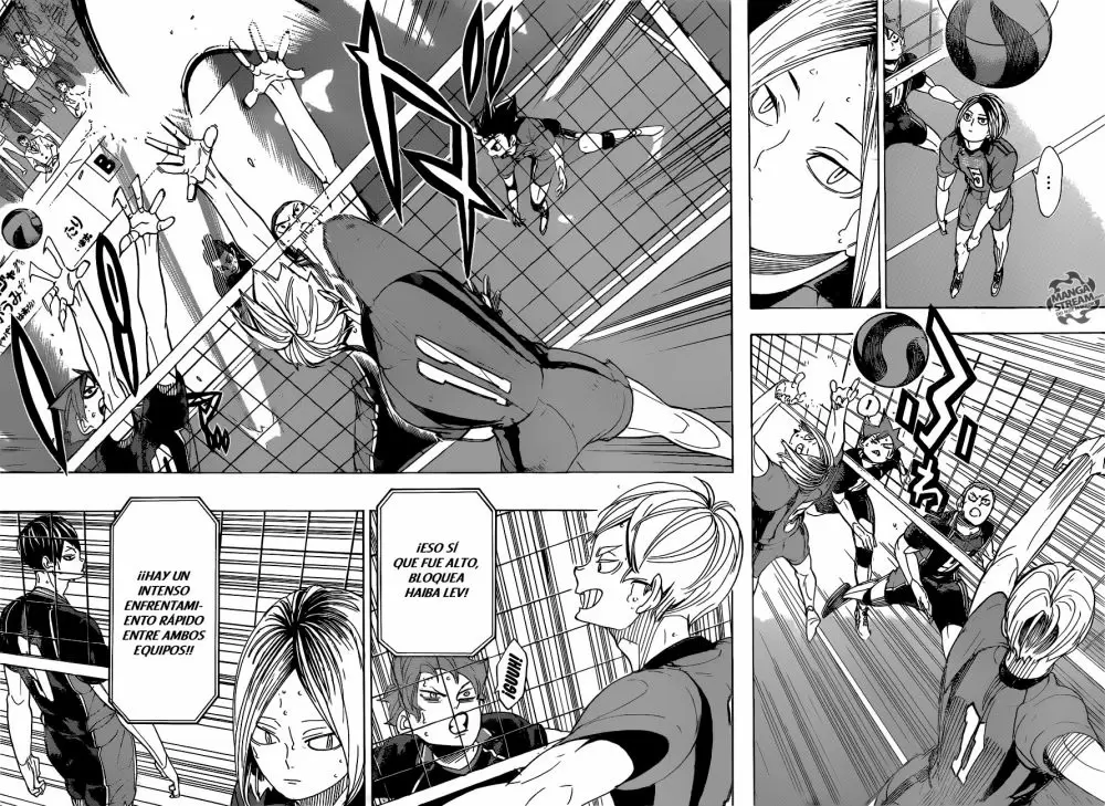 Haikyuu!! capítulo 295 página 8