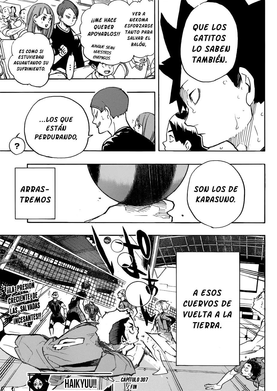 Haikyuu!! - Capítulo 307 - Página 19 - LectorTMOo