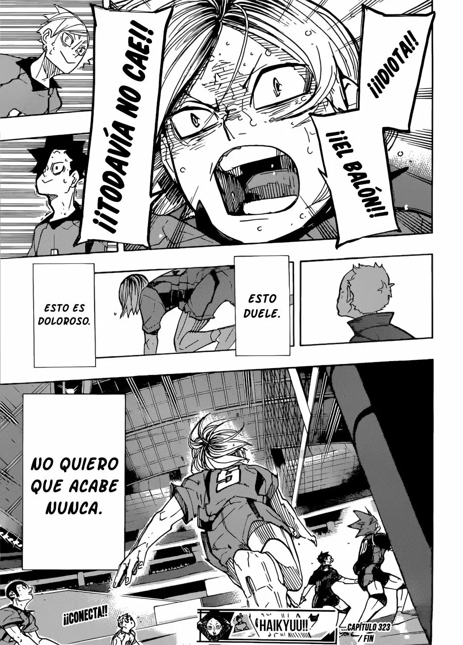 Haikyuu!! - Capítulo 323 - Página 17 - LectorTMOo