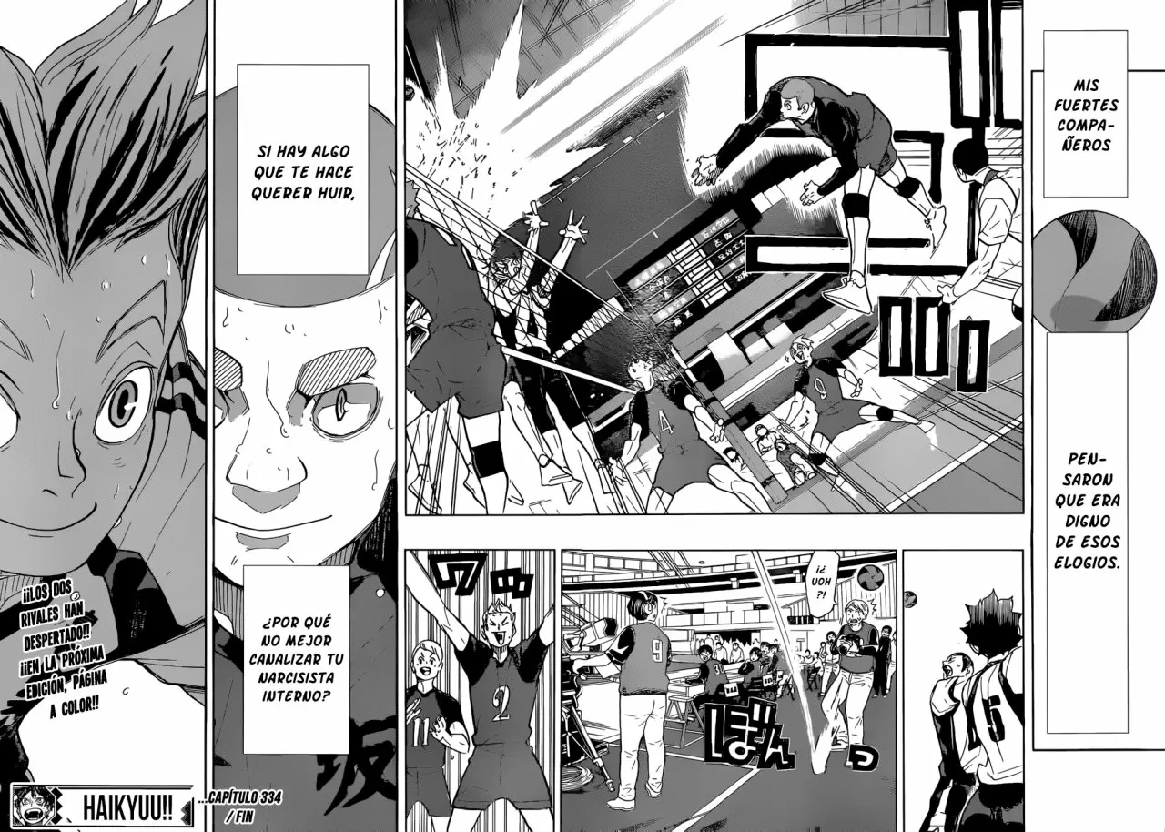 Haikyuu!! - Capítulo 334 - Página 19 - LectorTMOo