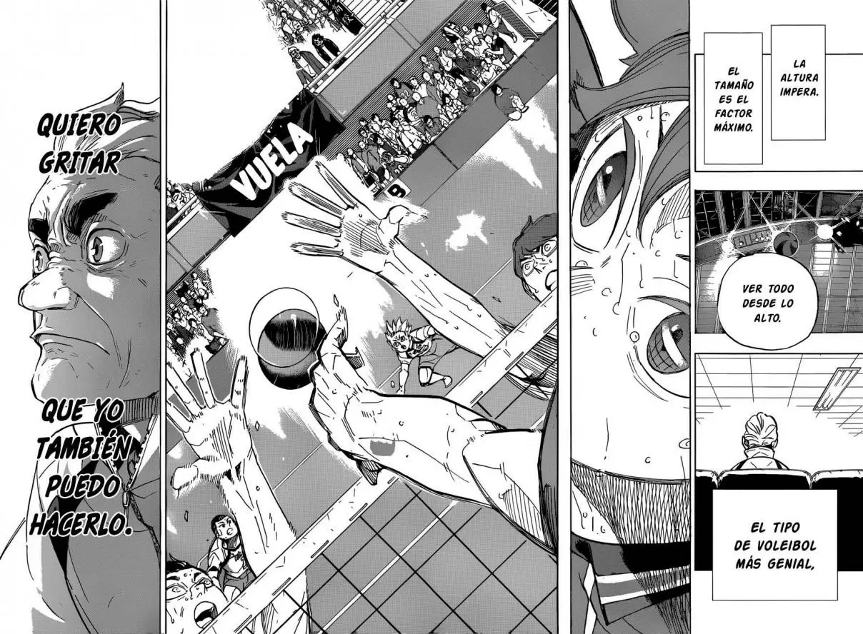 Haikyuu!! - Capítulo 361 - Página 17 - LectorTMOo