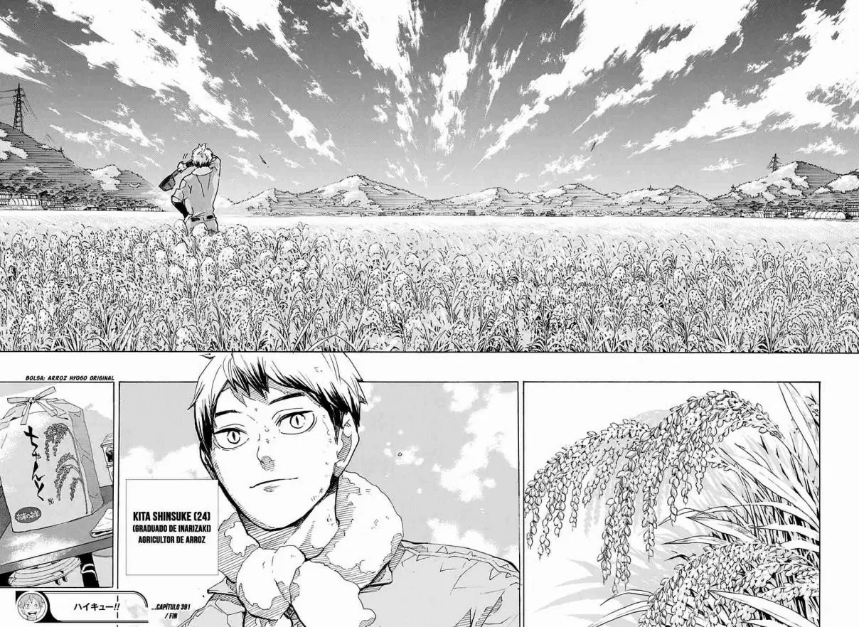 Haikyuu!! - Capítulo 391 - Página 17 - LectorTMOo