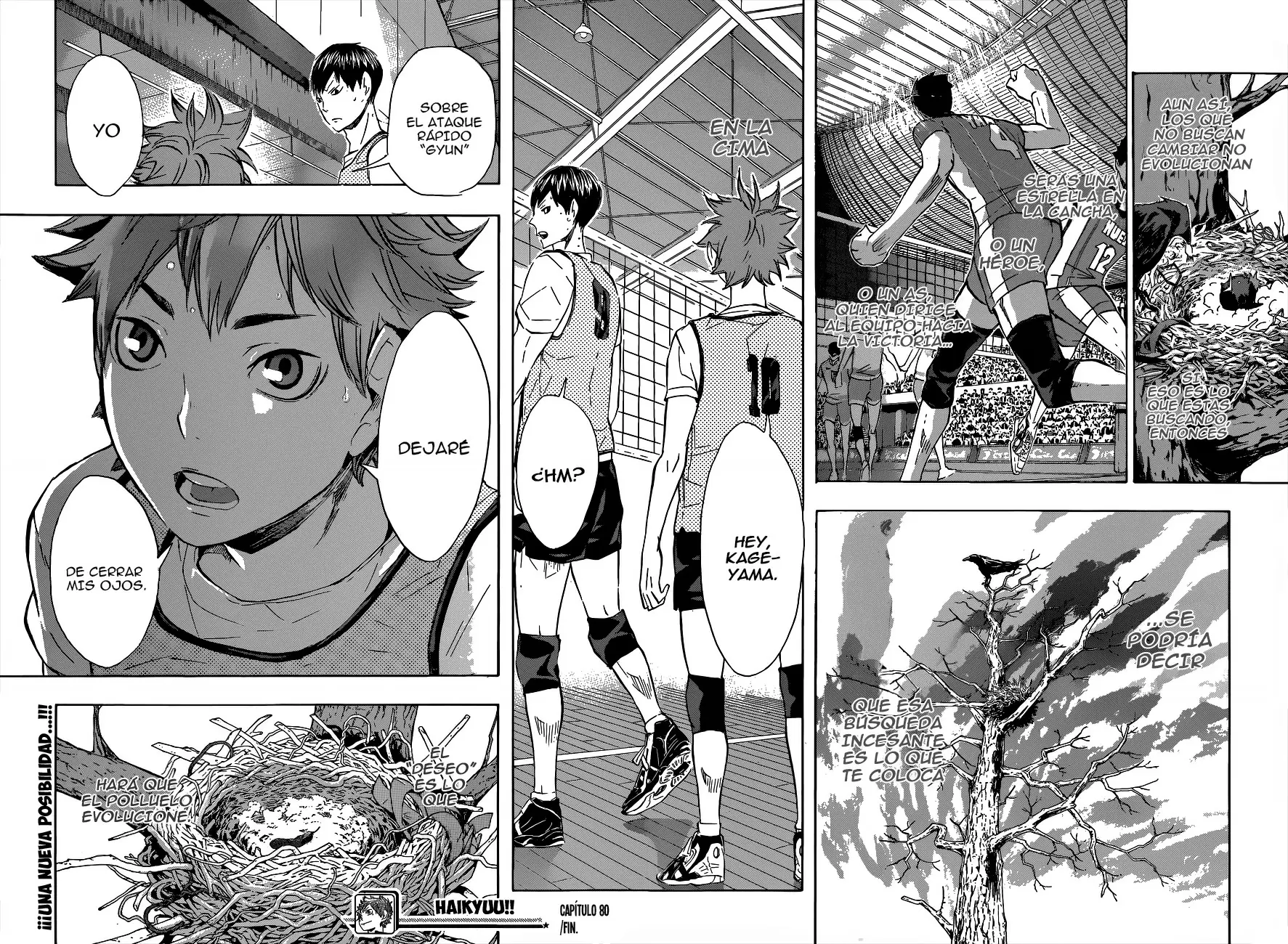 Haikyuu!! - Capítulo 80 - Página 17 - LectorTMOo