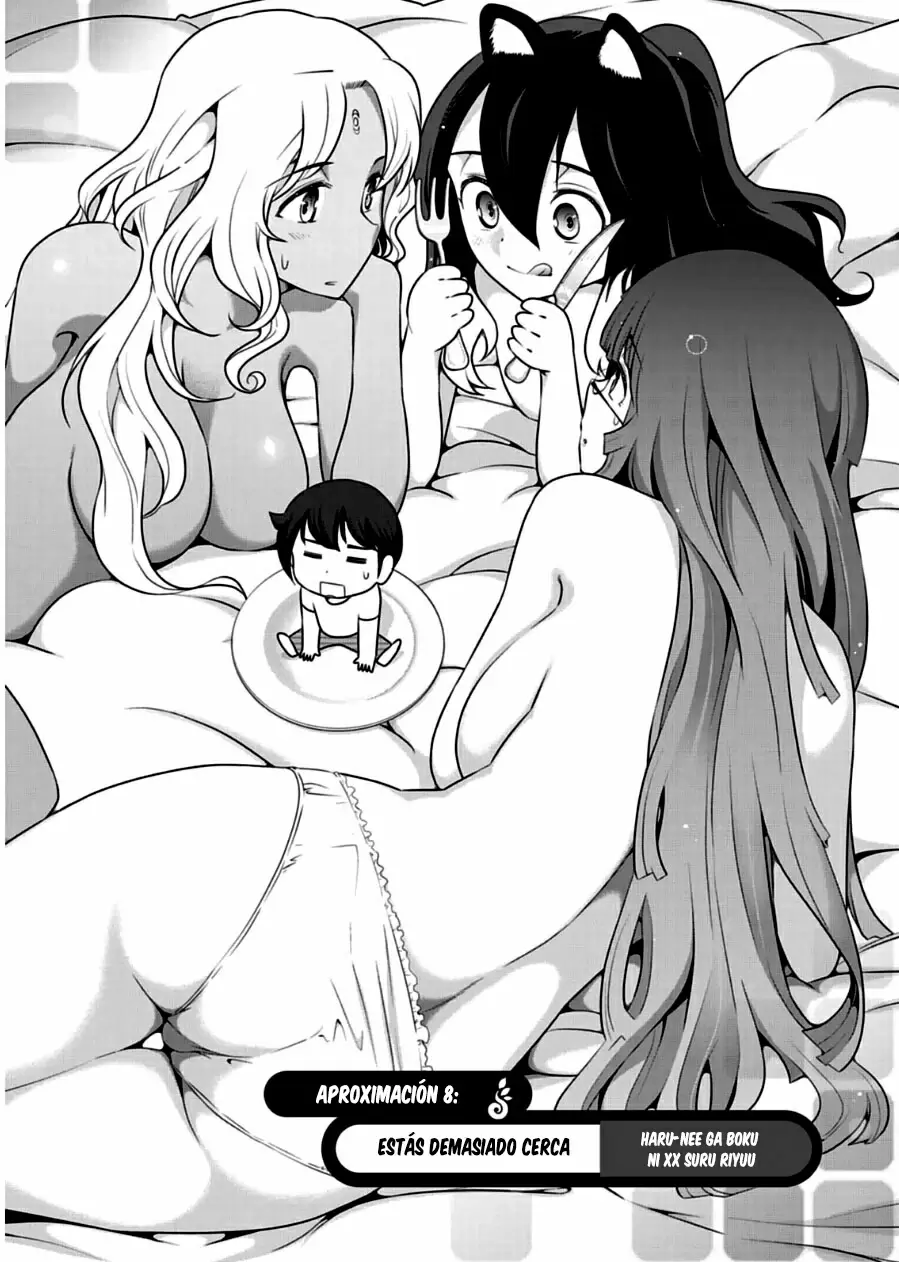 Haru-nee ga Boku ni XX Suru Riyuu - Capítulo 8 - Página 8 - LectorTMOo
