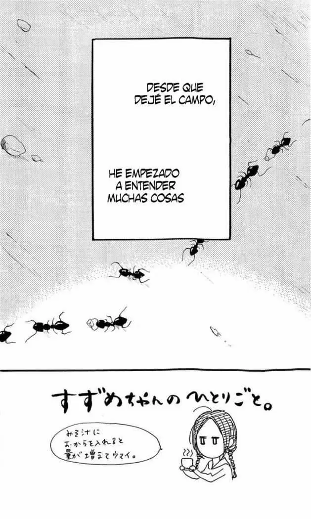 Hirunaka No Ryuusei - Capítulo 2 - Página 3 - LectorTMOo