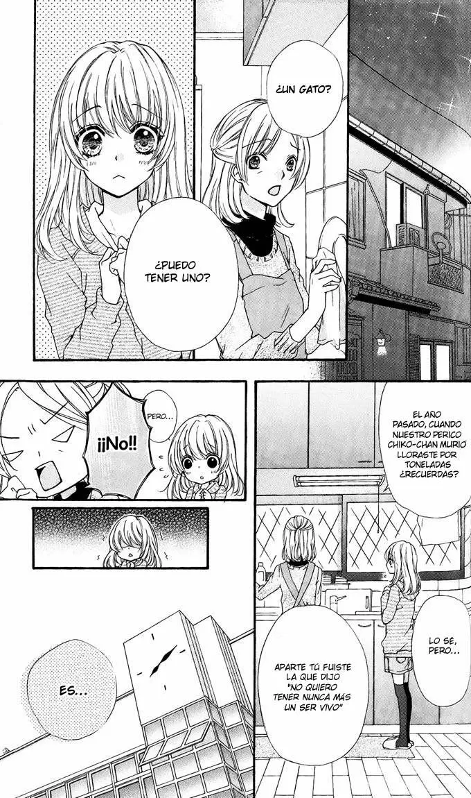 Hiyokoi - Capítulo 4 - Página 25 - LectorTMOo