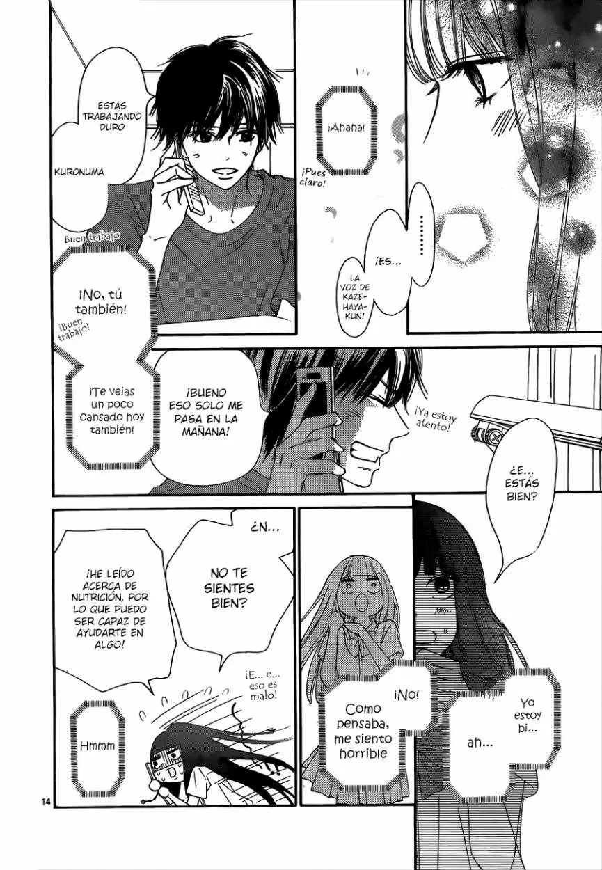 Kimi Ni Todoke - Capítulo 91 - Página 15 - LectorTMOo