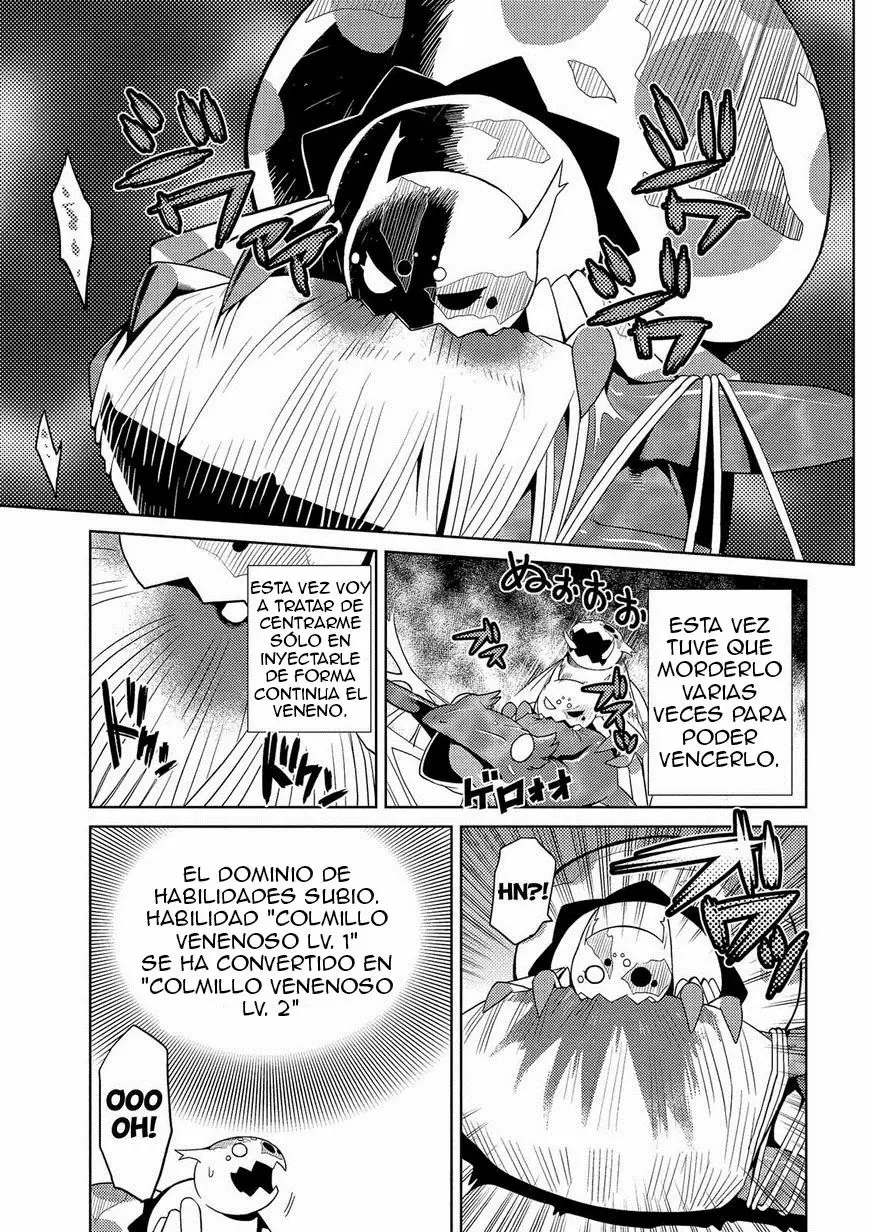 Kumo Desu Ga- Nani Ka? - Capítulo 3 - Página 17 - LectorTMOo