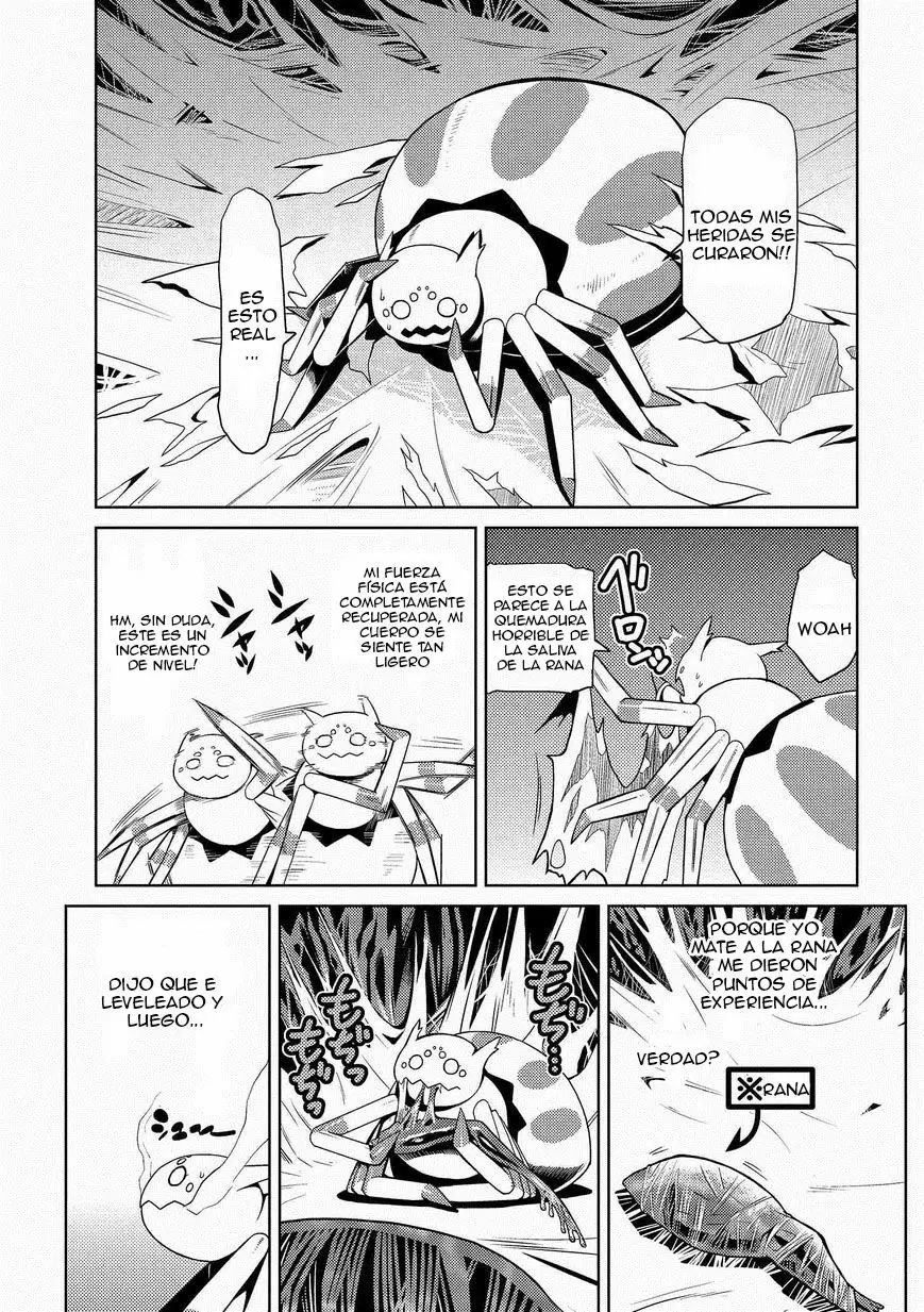 Kumo Desu Ga- Nani Ka? - Capítulo 4 - Página 5 - LectorTMOo