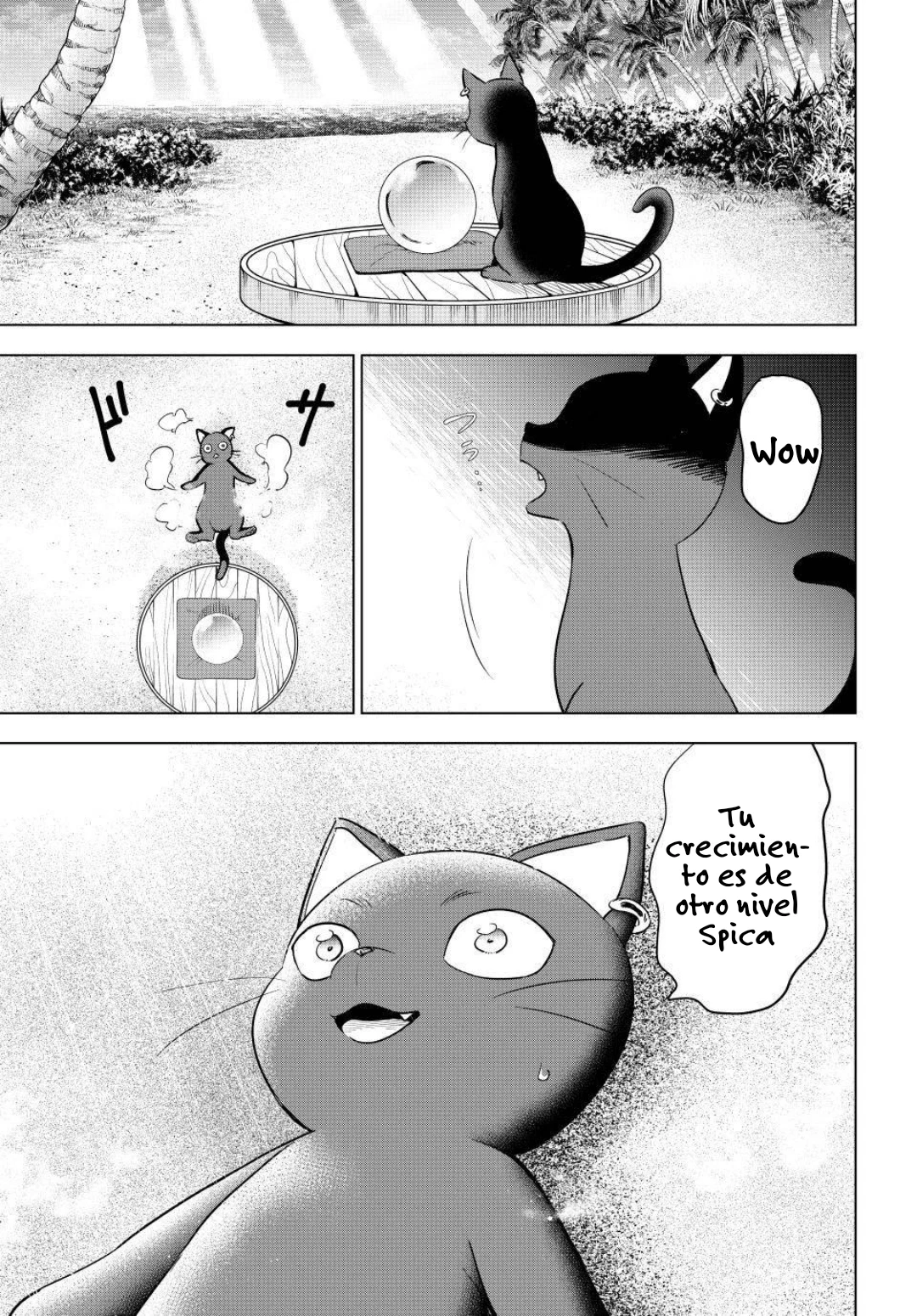 Kuroneko To Majo No Kyoushitsu - Capítulo 57 - Página 13 - LectorTMOo