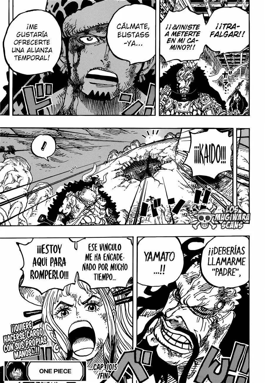 One Piece - Capítulo 1015 - Página 17 - LectorTMOo