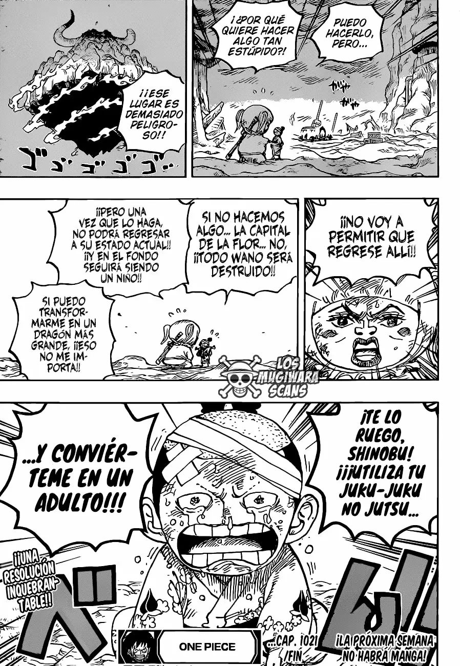 One Piece - Capítulo 1021 - Página 18 - LectorTMOo