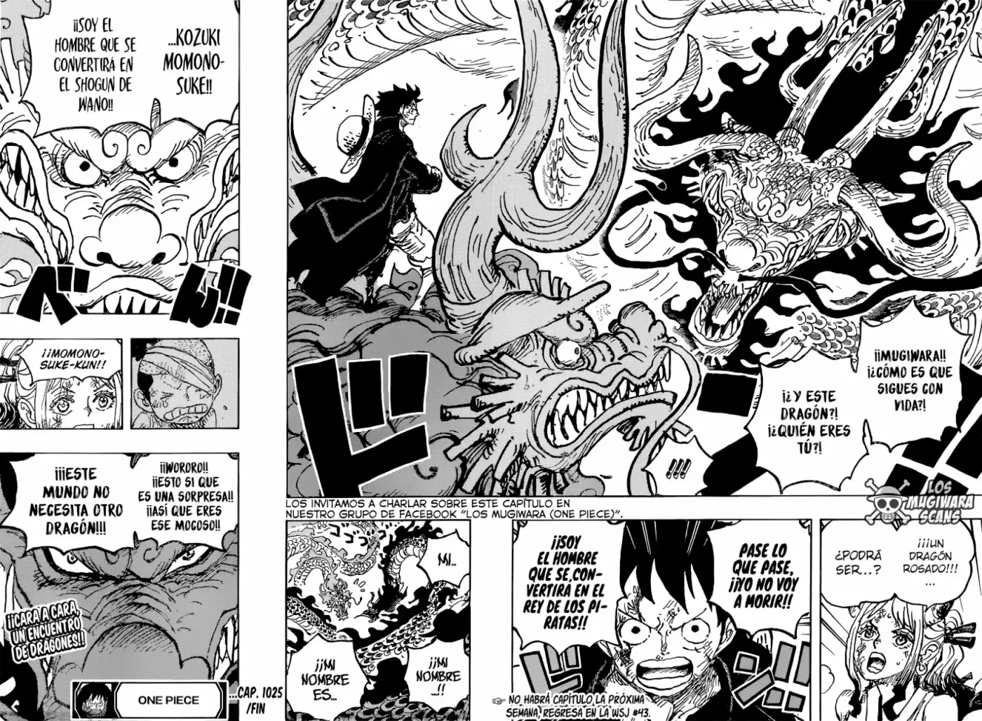 One Piece - Capítulo 1025 - Página 16 - LectorTMOo