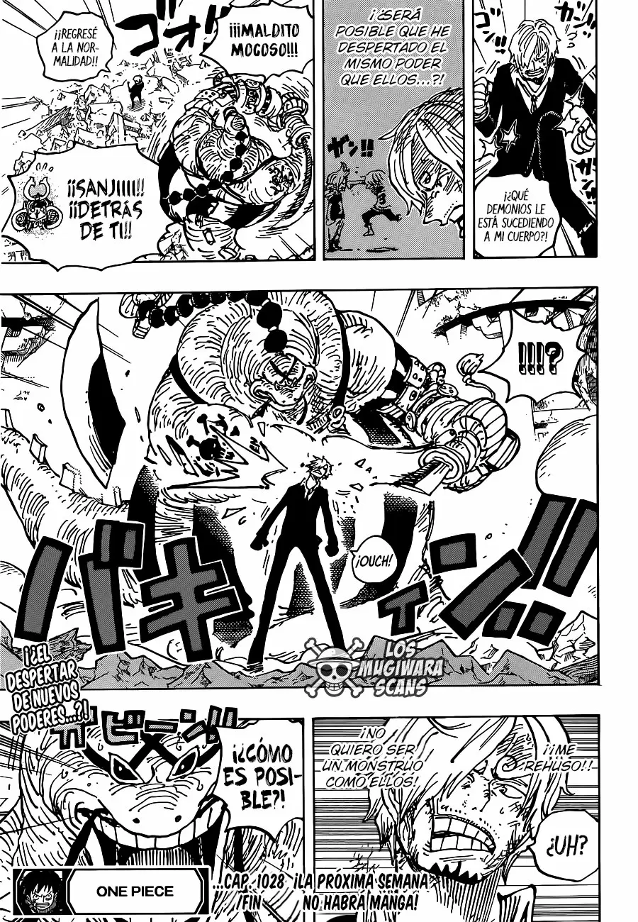 One Piece - Capítulo 1028 - Página 19 - LectorTMOo