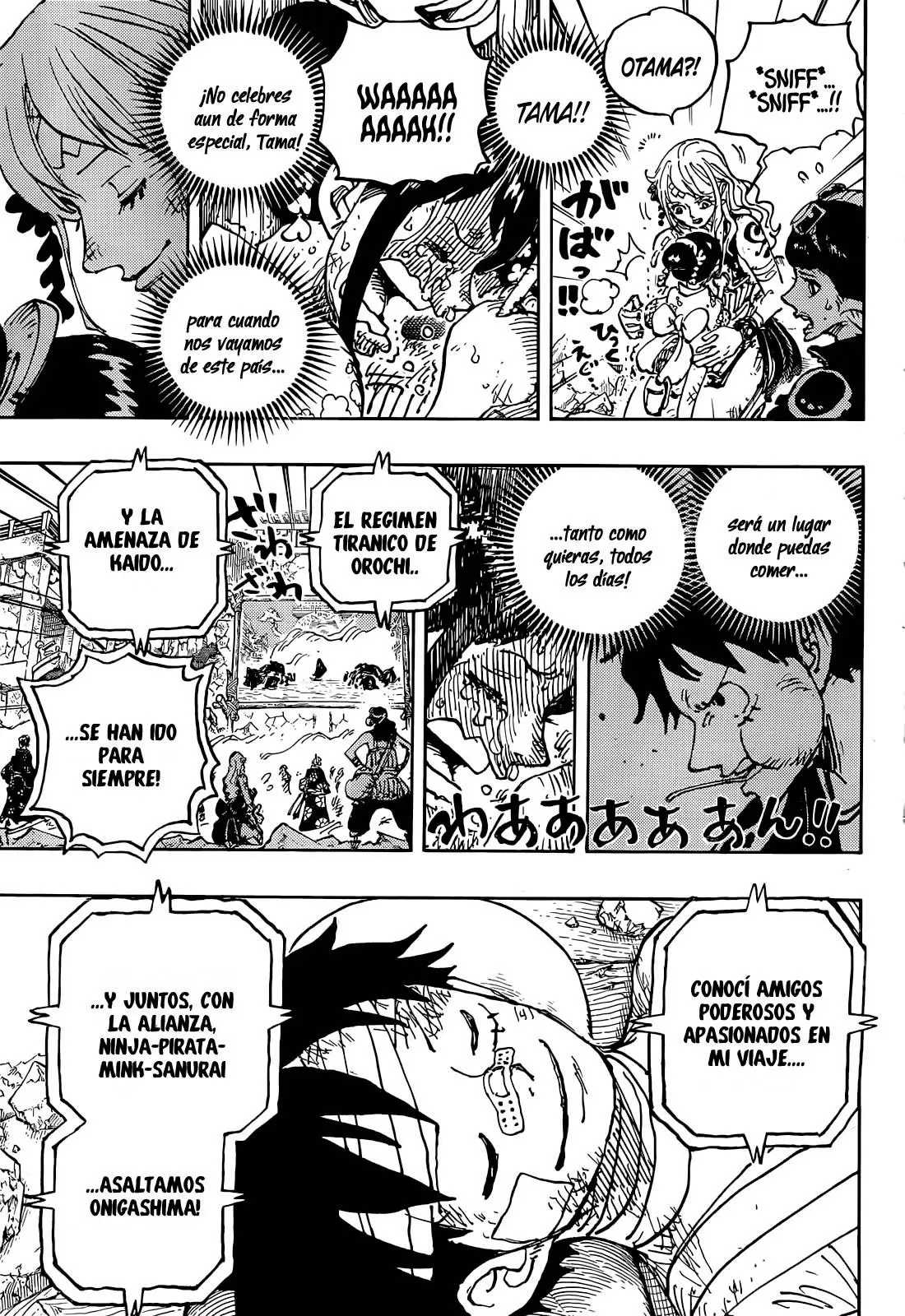 One Piece - Capítulo 1051 - Página 12 - LectorTMOo