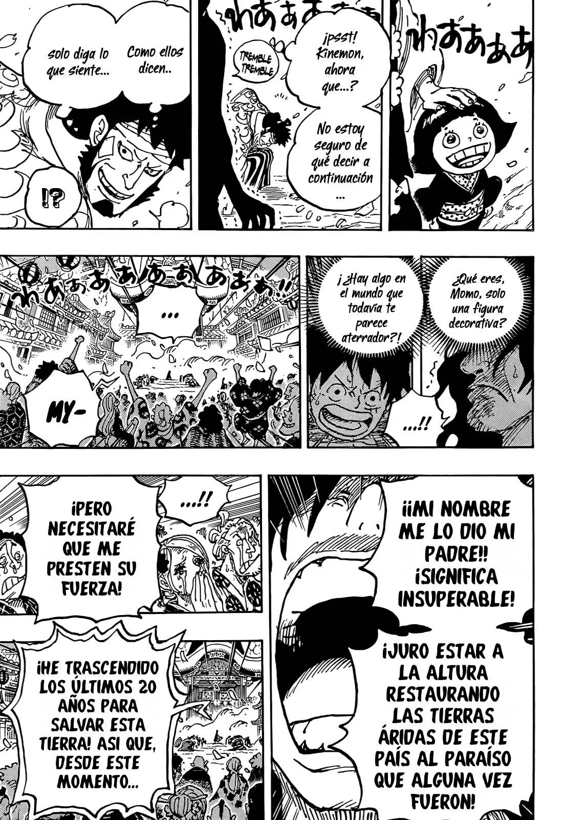 One Piece - Capítulo 1051 - Página 14 - LectorTMOo