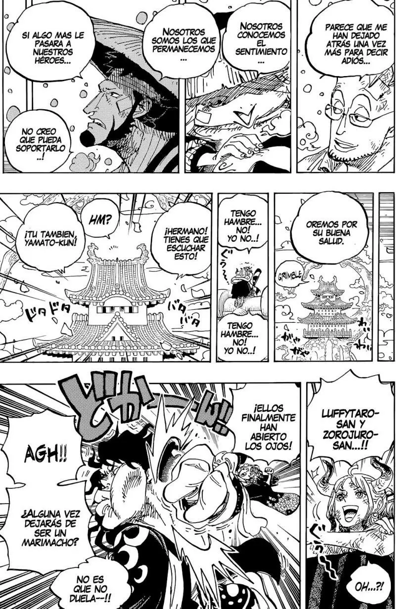 One Piece - Capítulo 1052 - Página 9 - LectorTMOo