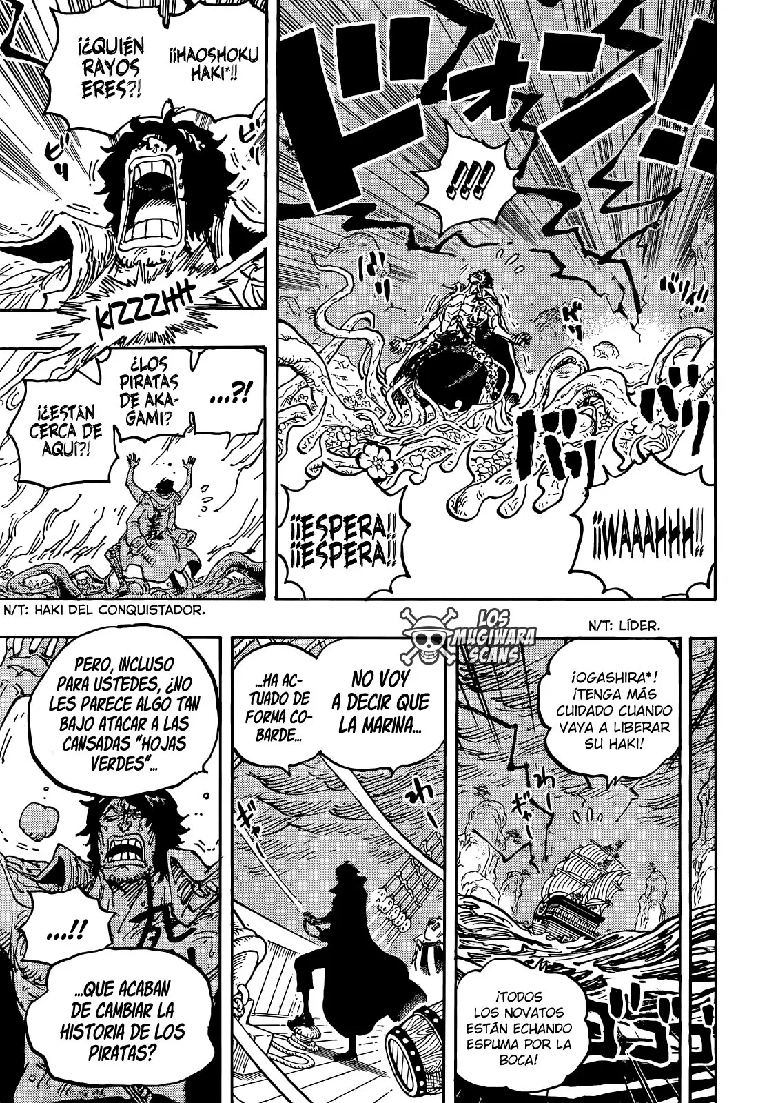 One Piece - Capítulo 1055 - Página 18 - LectorTMOo