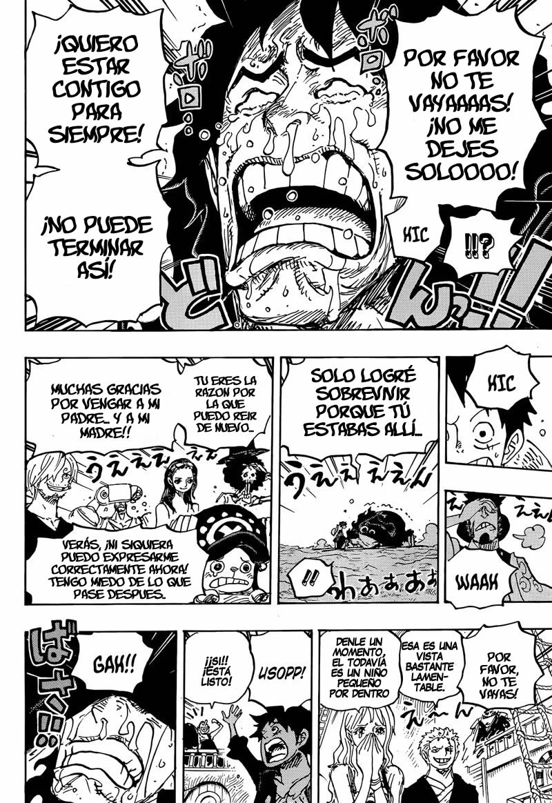 One Piece - Capítulo 1057 - Página 9 - LectorTMOo