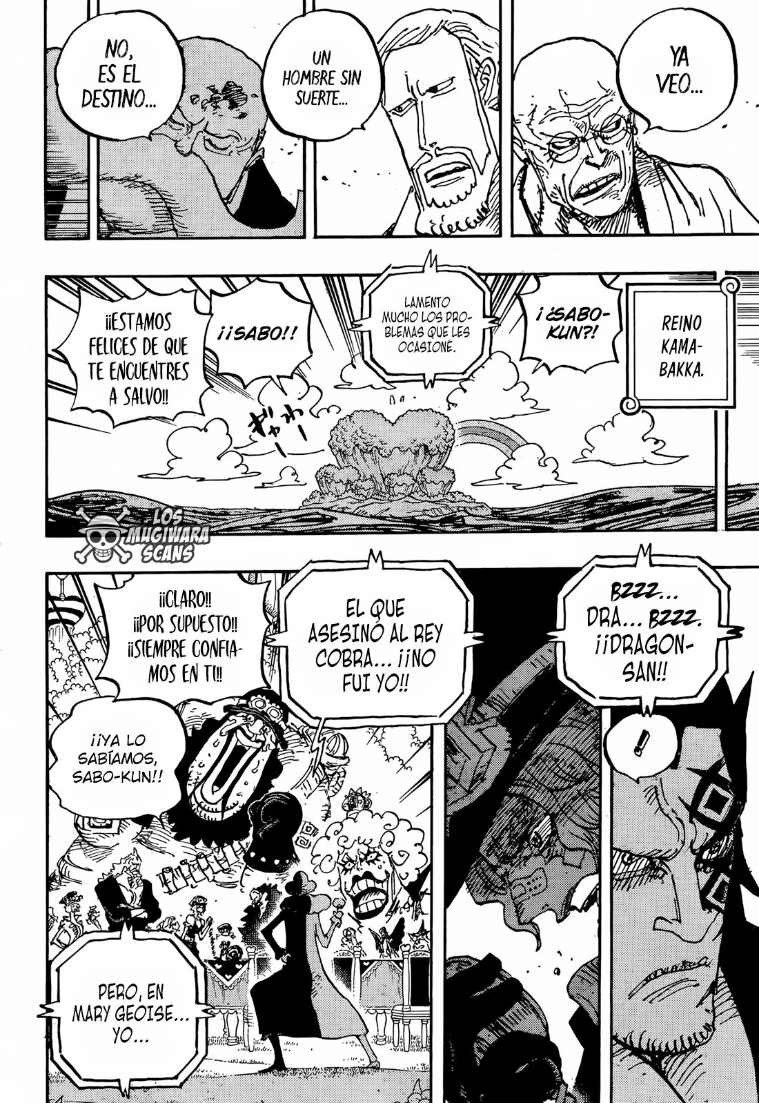 One Piece - Capítulo 1060 - Página 13 - LectorTMOo