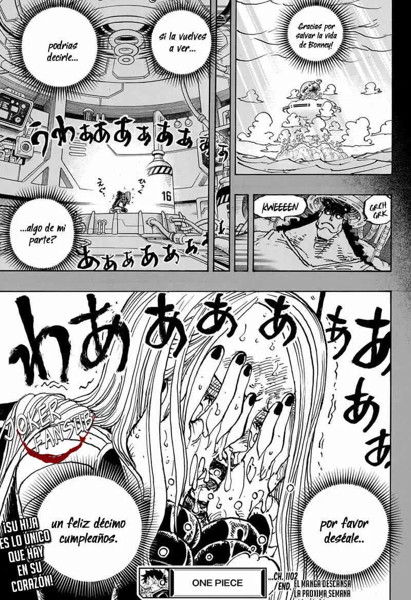 One Piece - Capítulo 1102 - Página 17 - LectorTMOo